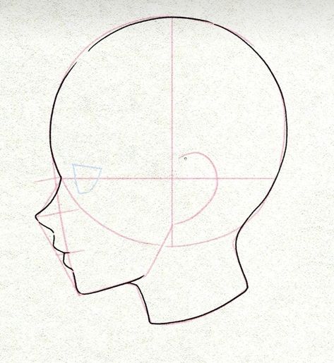 Heads Poses Drawing, Side Face Drawing Woman, Anime Head Proportions, Head Practice Drawing, Anime Head Sketch, Anime Head Drawing Reference, Boy Head Drawing, Face Drawing Reference Sketches, Anatomy Reference Head