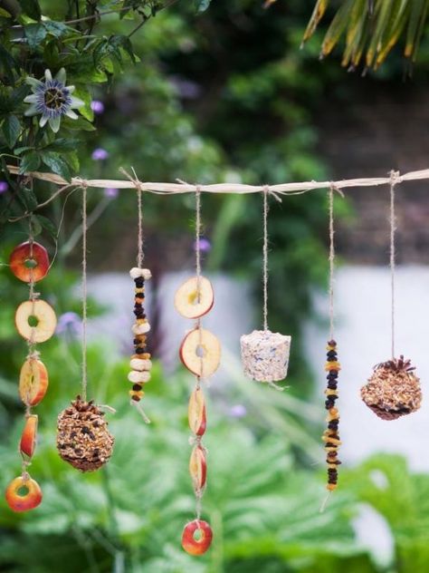 Kids Gardening Projects, Bird Feeder Craft, Homemade Bird Feeders, Diy Bird Feeder, Diy Birds, Bird Food, Diy Garden Projects, Backyard Birds, Easy Craft