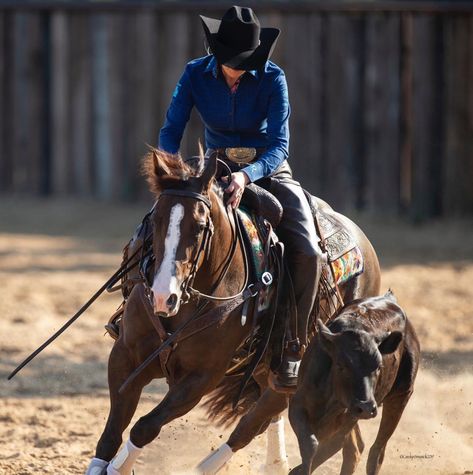 Reining Cow Horse, Reined Cow Horse, Western Horse Riding, Working Cow Horse, Ranch Riding, Horsey Life, Inspirational Horse Quotes, Reining Horses, Rodeo Horses