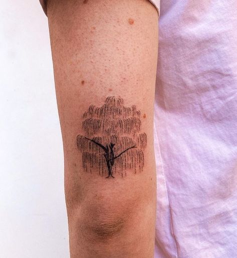 Ellie - Handpoked tattoos on Instagram: "Willow tree for Ellie 😍" Willow Tattoo, Willow Tree Tattoo, Willow Tree Tattoos, Sleeve Ideas, Sleeves Ideas, Tree Tattoo, Willow Tree, Pretty Tattoos, Tattoos