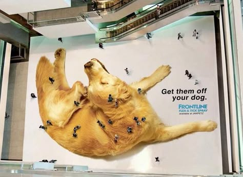 Make guerilla marketing work for you! Check out how! Guerilla Marketing Examples, Guerrilla Advertising, Funny Commercial Ads, Guerrilla Marketing, Clever Advertising, Floor Graphics, Funny Commercials, 광고 디자인, Commercial Ads