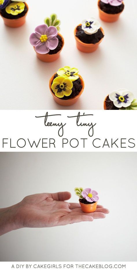 seriously cute mini cakes - no baking required! | Tiny Flower Pot Cakes Brownie Bowl, Quirky Diy, Flower Pot Cake, Cactus Cupcakes, Pot Cakes, Mini Torte, Tiny Cakes, Cake Blog, Small Cake