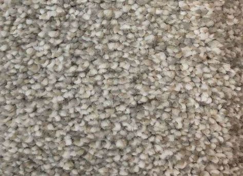 Best Carpet Colors: Abbey by Home Decorators Collection What Color Carpet Goes With Gray Walls, Grey Beige Carpet, Carpet Colors With Gray Walls, Wall To Wall Carpet Ideas, Bedroom Carpet Colors, Home Depot Flooring, Choosing Carpet, Home Depot Carpet, Mohawk Carpet