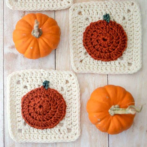 Pumpkin Granny Square Pattern Free, Fall Granny Square Blanket, Pumpkin Granny Square, Fall Granny Square, Halloween Crochet Projects, Halloween Knitting Patterns, Crocheted Pumpkins, Granny Square Pattern Free, Motifs Granny Square