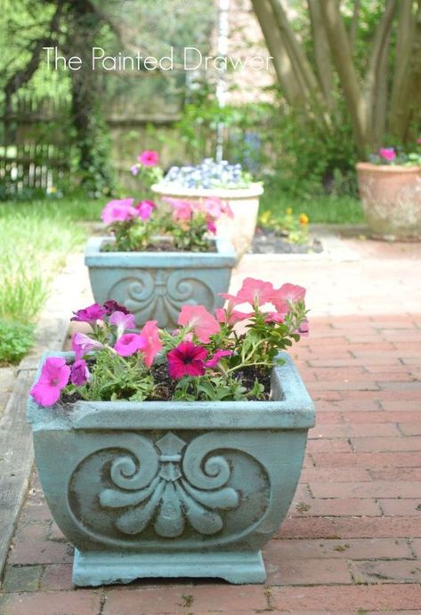 Giving Old Concrete Planters New Life - I was given these old concrete planters and decided they could use a facelift. They are pretty old, with chips and miss Painting Concrete Pots, Concrete Flower Pots Outdoor, Paint Cement, Old Concrete, Colored Concrete, Concrete Painting, Painting Cement, Cement Flower Pots, Diy Concrete Planters