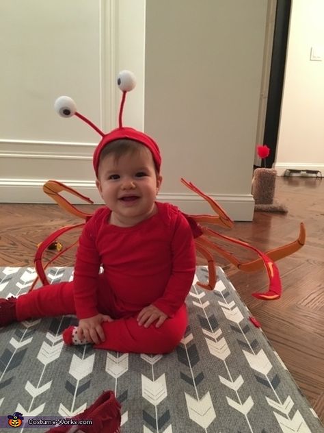 Sebastian Crab Costume Diy, Diy Crab Costume, Under The Sea Costume, Baby Lobster Costume, Lobster Halloween, Nicu Halloween, Under The Sea Costumes, Sea Creature Costume, Funny Baby Costumes