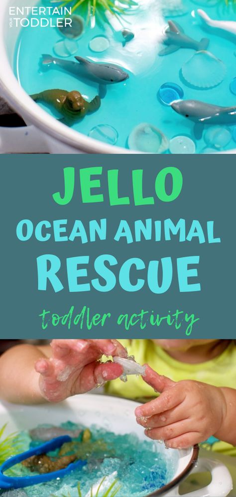 This was such a fun activity to do with my toddler and preschooler using Jello and some aquatic animal toys. See what we did to set up this simple, yet exciting toddler activity! #entertainyourtoddler #toddler #toddleractivities #indooractivities #Jello #toys #preschooler #learningthroughplay #playbasedlearning #parenting #sensoryplay #sensory Water Ideas, Indoor Activities For Toddlers, Easy Toddler Activities, Sensory Activities Toddlers, Toddler Sensory, Daycare Activities, Animal Activities, Toddler Learning Activities, Toddler Fun