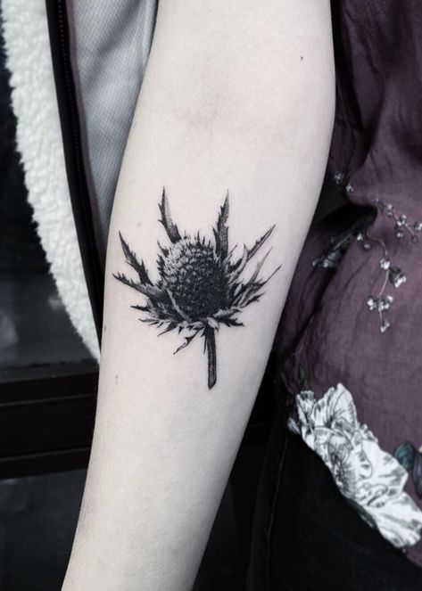 Le Lu molotov thistle flower Tattoo Blue Thistle Tattoo, Thistle Tattoo Black, Thistle Tattoos, Thistle Drawing, Thistle Flower Tattoo, Scottish Thistle Tattoo, Scottish Tattoo, Sleeve Inspiration, Tattoo Mom