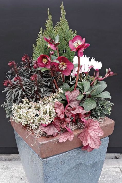 Winter Garden Pots Outdoor, Winter Flower Beds, Winter Pots Outdoor Front Doors, Winter Porch Pots, Winter Planter Ideas, Fall Container Plants, Winter Pots, Winter Containers, Charm Aesthetic