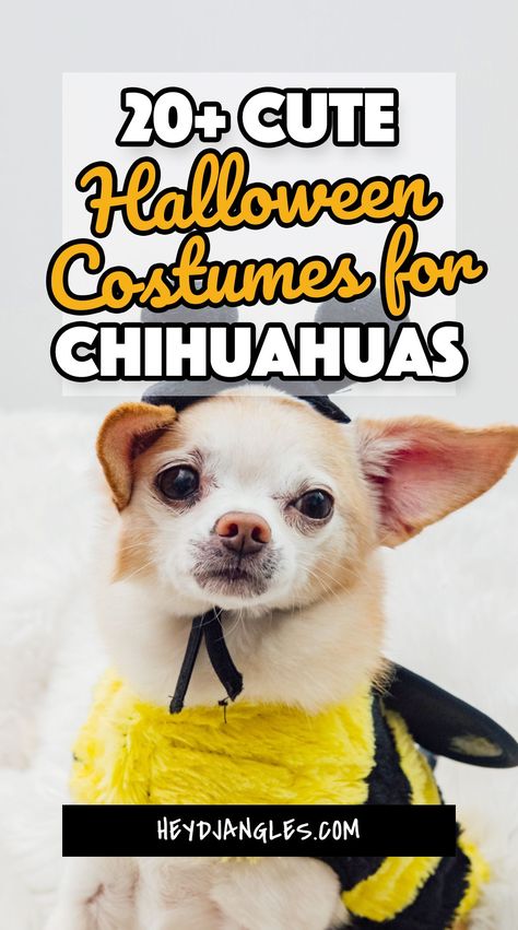 Halloween Costumes For Chihuahuas, Chihuahua Halloween Costumes Diy, Chihuahua Costumes Halloween, Chihuahua Halloween Costumes, Baby Dog Costume, Dog Costumes For Kids, Dog And Owner Costumes, Chihuahua Costumes, Best Dog Halloween Costumes