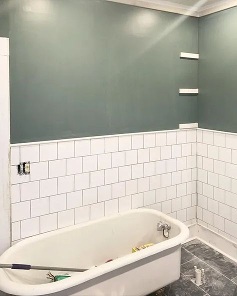 Sw Succulent Bathroom Succulent Sherwin Williams Bathroom, Sw Succulent Paint Color, Sw Succulent Paint, Sw Succulent, Bathtub Shower Ideas, Succulent Bathroom, Whole House Colors, Feature Wall Paint, Sherman Williams Paint