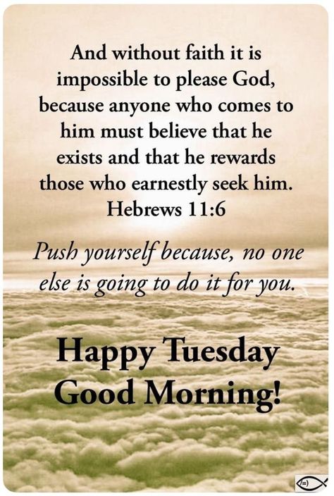 Morning Quotes Tuesday, Tuesday Morning Wishes, Good Morning Tuesday Wishes, Tuesday Morning Quotes, Good Morning Saturday Wishes, Tuesday Wishes, Blessed Tuesday, Inspirational Morning Prayers, Happy Tuesday Images