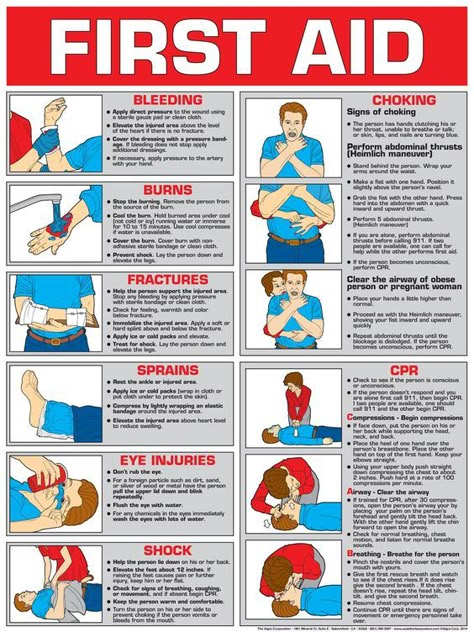 Free Choking Safety Posters First Aid Posters First Aid Poster, First Aid For Kids, Basic First Aid, First Aid Tips, Emergency First Aid, Medical Student Study, Emergency Preparedness Kit, Safety Posters, Survival Skills Life Hacks