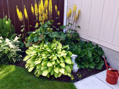 Canadian Garden | Fine Gardening Canadian Garden, Canadian Garden Ideas, Small Front Garden Ideas, Small Front Gardens, Front Landscaping, Fine Gardening, Front Yard Landscaping Design, Backyard Garden Design, Small Gardens