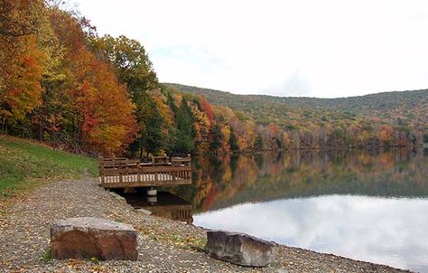 Allegany State Park. Fall camping is a great way to extend your outdoor adventures throughout the year, and there’s no better place for it than New York. Allegany State Park, New York State Parks, Fall Camping, New York State, Garden Bridge, Outdoor Adventures, State Park, Outdoors Adventure, Good News