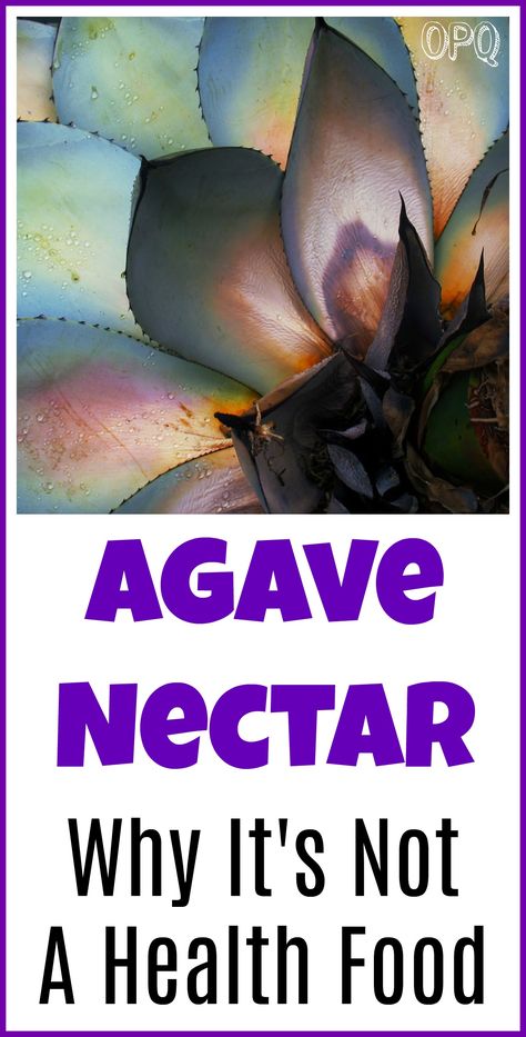 Is agave nectar healthy Baking With Agave Syrup, Uses For Agave Syrup, Agave Recipes Healthy, Blue Agave Recipes, Agave Syrup Benefits, Agave Nectar Benefits, Agave Benefits, Agave Syrup Recipes, Blue Agave Plant