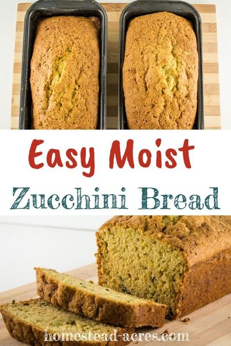 Frozen Zucchini, Pudding Bread, Easy Zucchini Bread Recipes, Moist Zucchini Bread, Easy Zucchini Bread, Black Color Hairstyles, Best Zucchini Bread, Zucchini Bread Recipe, Bread At Home