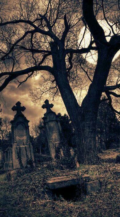 Old grave yard. Bmth Lyrics, Goth Architecture, Old Cemetery, Grave Yard, Old Cemeteries, Lyrics Wallpaper, Dark Soul, Gothic Horror, Ghost Hunting