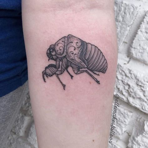 22 Cryptic Cicada Tattoo Designs and Where to Ink Them Cicada Tattoo, Shell Tattoos, Bug Tattoo, Moth Tattoo, Public Restroom, Beautiful Bugs, Stick And Poke, Vintage Tattoo, Mandala Tattoo