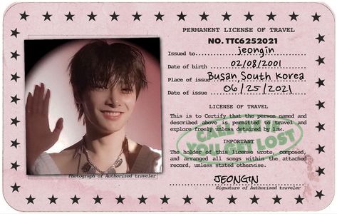 Stray kids skz yang Jeongin I.N Photocard Bang Chan Lee Know Changbin Hyunjin Han Felix Seungmin I.N Call Me If You Get Lost Kpop, Busan South Korea, Passport Photo, Id Photo, Kpop Posters, All Songs, Phone Apps, Person Name, Laptop Wallpaper