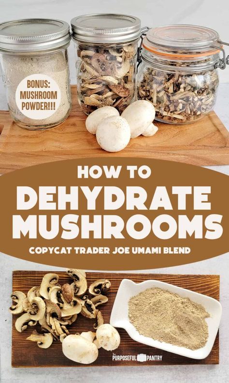 Dehydrate Mushrooms, Dehydrating Mushrooms, Dehydrating Food Storage, Food Dehydration, Dehydrating Food, Dehydrated Vegetables, Canning Food Preservation, Summer Foods, Dehydrated Fruit