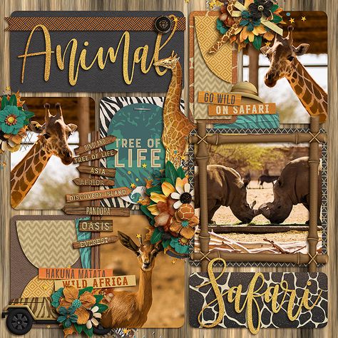 Zoo Scrapbook Pages, Zoo Scrapbook Layouts, Africa Scrapbook, Jungle Scrapbook, Zoo Layout, Safari Scrapbook, Zoo Ideas, Disney Layouts, Disney Scrapbooking Layouts