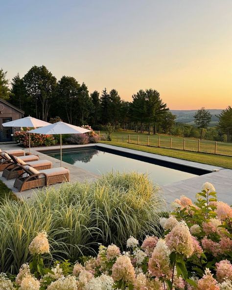 Pool On A Farm, House On Land, Farm Pool, Country Pool Landscaping, Farmhouse Pool, Wedding Ideas 2024, Farm View, Interior Boho, Outside Garden