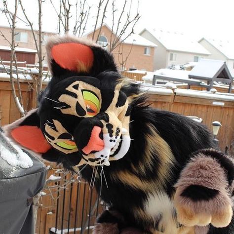 Fursuit Ideas, Fur Suit, Fur Suits, Fursuit Head, Maize, Cool Suits, No. 2, Feline, Character Design