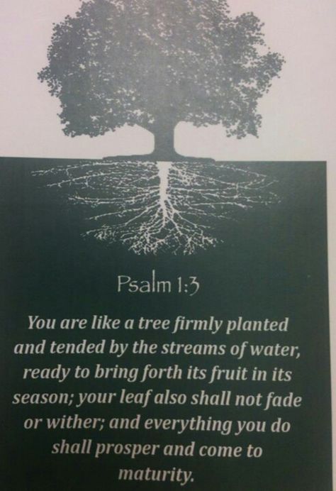 Psalm 1 Tattoo, Psalm 1 3, Psalm 1 1-3, Tree Of Life Scripture, Rooted Scripture, Scripture About Trees, Tree Planted By Streams Of Water, Down To The River To Pray, Spiritual Meaning Of Trees