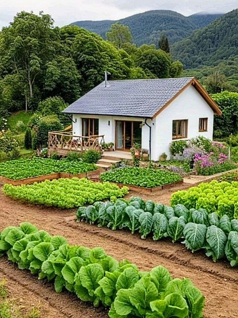 Home Vegetable Garden Design, Backyard Garden Layout, Farm Plans, Home Garden Design, Beautiful House Plans, Countryside House, Home Vegetable Garden, Village House Design, Vegetable Garden Design