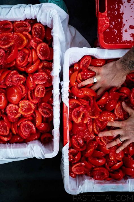 Tomato Passata, Pasta Party, Homemade Tomato Sauce, Canning Tomatoes, Beer Bottles, Pasta Fresca, Italian Cooking, Roma Tomatoes, Family Recipe