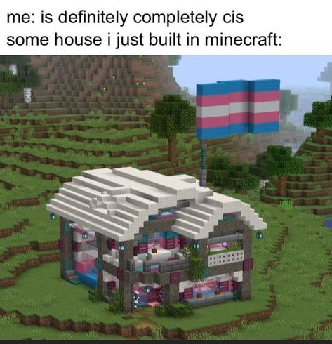 Pride Minecraft Builds, Silly Minecraft Builds, Tony Core, Cute Minecraft Houses, Minecraft Funny, One Of The Guys, Minecraft Inspo, Minecraft House Designs, Minecraft Stuff