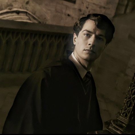 Adrian Pucey, Young Tom Riddle, Christian Coulson, Tom Marvolo Riddle, Tom Hughes, Best Riddle, Harry Potter Icons, Slytherin Boys, Images Harry Potter