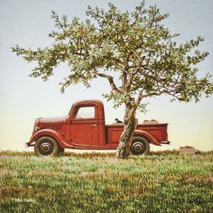 Navy man, self taught Vermont landscape painter at the Robert Paul Galleries | Arts | vtcng.com Swan Artwork, Vermont Art, England Country, Red Pickup Truck, Swan Painting, Farm Landscape, Debbie Mumm, Swans Art, White Truck