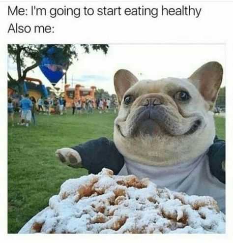 Puppy Life, Dogs Training, Dog Quotes Funny, Breed Dogs, Funny Dog Memes, Animals Funny, Funnel Cake, French Bulldog Puppies, Silly Animals