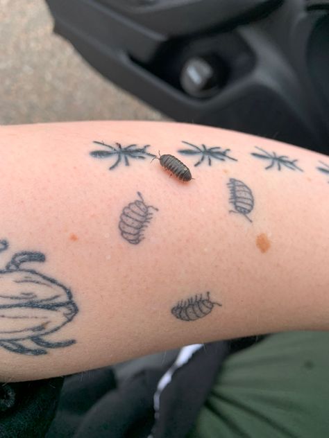 A small roly poly isopod sits right next to my tattoo of 3 roly polies on my left arm Halloween Bug Tattoo, Small Critter Tattoo, I Spy Tattoo, Insect Patchwork Tattoo, Woodlice Tattoo, Trinket Tattoo Ideas, Small Caterpillar Tattoo, Traditional Style Bug Tattoo, Cool Insect Tattoos