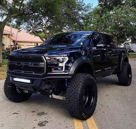 Ford Raptor equipped with a Fabtech 4” Lift Kit Truk Ford, Off Road Jeep, Jeep Pickup Truck, Best Pickup Truck, Red Mustang, Ford Trucks F150, Ford F150 Raptor, Ford Ranger Raptor, Ranger Truck