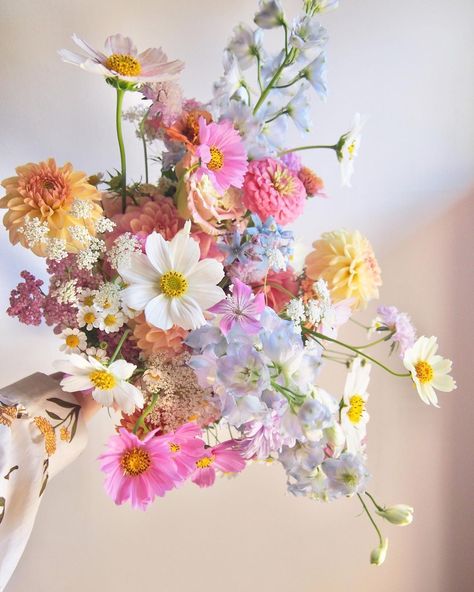 Rosie & Family ~ market gardeners and florist Adelaide Hills | Wedding blooms with serene blues and purples for a warm summer day this past weekend ✨ 💜💕✨ Bouquet recipe: Tweedia Blue delphiniums… | Instagram Wegmans Flowers Weddings, Ethereal Spring Wedding, Pastel Rainbow Bouquet, Pink Spring Wedding Flowers, Wedding Flowers Blue And Pink, Light Blue Wedding With Colorful Flowers, Colorful Mexico Wedding, Summer Garden Wedding Flowers, Yellow And Pink Flower Bouquet