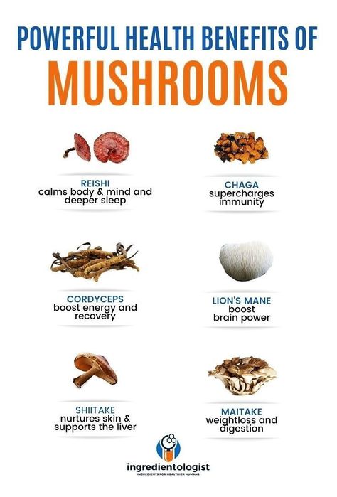 Powerful Health Benefits of Mushrooms | Best Supplements #turkey #tail #mushroom #benefits Benefits Of Mushrooms, Health Benefits Of Mushrooms, Mushroom Guide, Boosting Immunity, Mushroom Benefits, Turkey Tail Mushroom, Food Infographic, Healthy Supplements, Ways To Stay Healthy