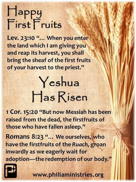 Feast Of First Fruits, Jewish Feasts, Sabbath Quotes, Biblical Feasts, Feasts Of The Lord, Torah Study, Bible Learning, Messianic Judaism, Unleavened Bread