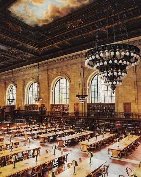 OOO: The Best Spots To Work When Your Office Is The Worst (Or Nonexistent) Ceiling Rosette, Ny Library, Library Aesthetic, Banana Fish, Honeymoon Travel, Football Field, Reading Room, New York Public Library, Ireland Travel