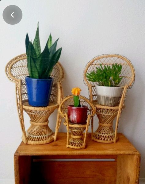 Boho Chairs, Chair Plant Stand, Wicker Peacock Chair, Boho Chair, Peacock Chair, Wicker Chairs, Plant Stands, Chair Decorations, Candle Stand