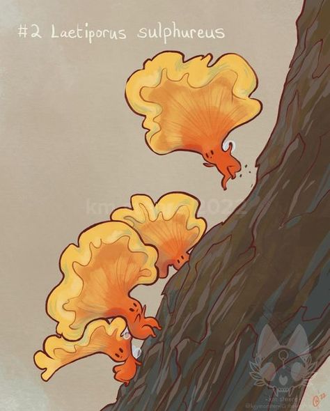 Mushroom Creature Design, Fungi Fantasy Art, Weird Mushroom Art, Chanterelle Mushroom Illustration, Cute Fantasy Creature Concept Art, Fantasy Mushroom Creature, Magical Nature Art, Mythical Monsters Art, Mycelium Drawing