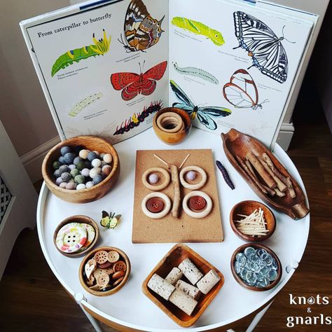 Loose Parts Insects, Loose Parts Provocation, Butterfly Provocations, Spring Loose Parts, Reggio Science, Loose Part, Butterfly Book, Curiosity Approach, Loose Parts Play