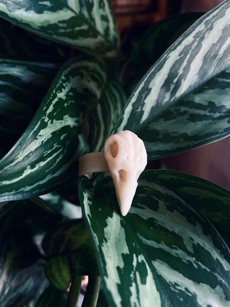 Clay Bird Skull, Polymer Clay Leaves, Clay Leaves, Clay Bird, Bird Skull, Skull Ring, Cute Crafts, Plant Leaves, Polymer Clay