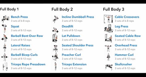 2 Day Full Body Workout Split, Three Day Workout Split, Full Body Workout Split, 2 Day Split Workout, Gym Beginners, Personal Training Workouts, Bodybuilding Exercises, Full Body Strength Workout, Gym Plans