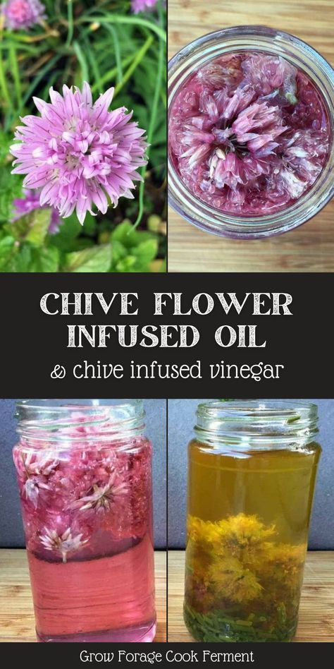 Chive Flower Infused Oil, Chive Flower Recipes, Chive Blossom Oil, Chive Flowers Uses, What To Do With Excess Chives, Chive Vinegar Recipe, Garlic Flowers Recipe, Chive Flower Vinegar, Chive Oil Recipe