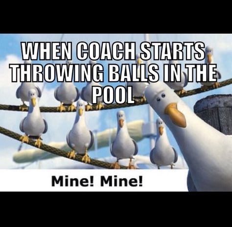 You only get it if you play the sport :) Water Polo Quotes, Water Polo Funny, Swimmer Memes, Swimming Jokes, Good Morning Meme, Swimmer Girl Problems, Swimming Memes, Water Polo Players, Swimmer Problems