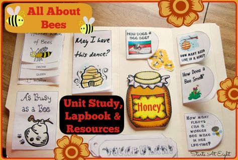 In this All About Bees Unit Study for elementary kids learn about the bees, hive, and honey. Includes a FREE labook, online resources, a book list and more!