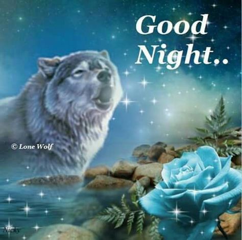 Goodnight I Love You, Stanky Leg, Goodnight Message, Discord Stickers, Wolf Meme, Enjoy Your Evening, Alpha Werewolf, Sweet Dreams Baby, Night Friends